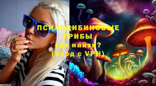 кокс Аркадак