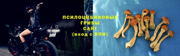 ECSTASY Арсеньев