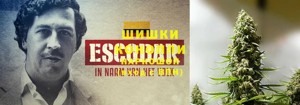 ПСИЛОЦИБИНОВЫЕ ГРИБЫ Армянск